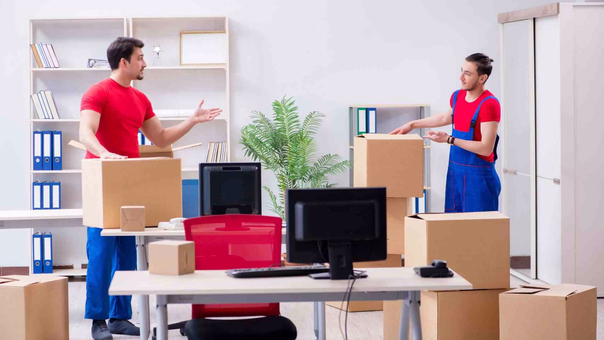 Choose Professional Office Removalists