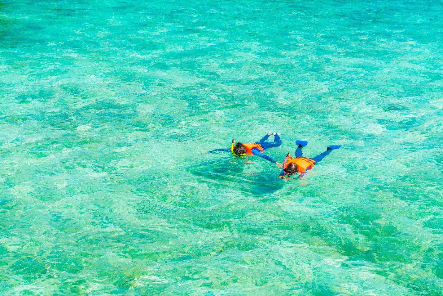 Reasons to Choose a Private Snorkel Charter