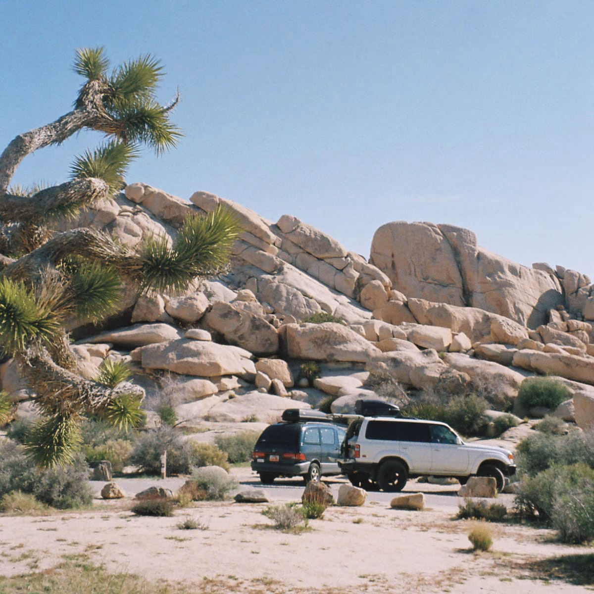 Camping in Joshua Tree National Park