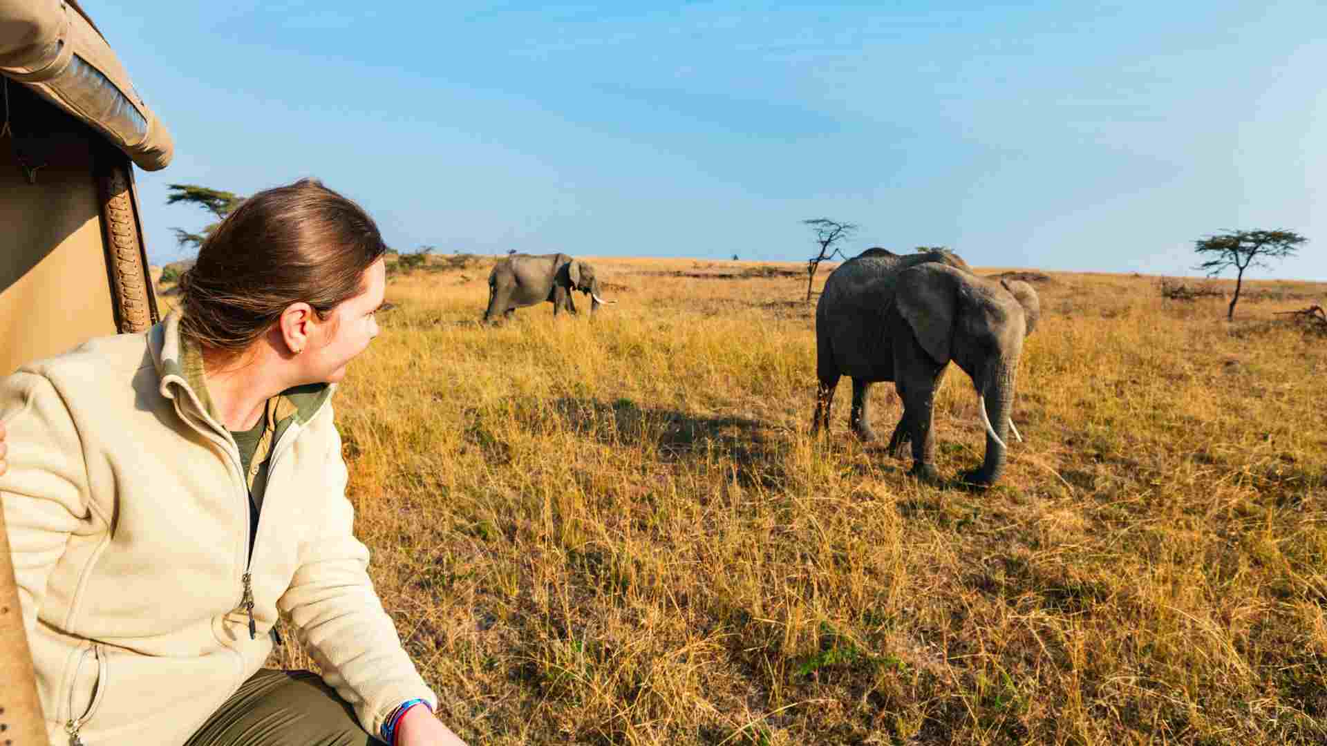African Honeymoon Safari