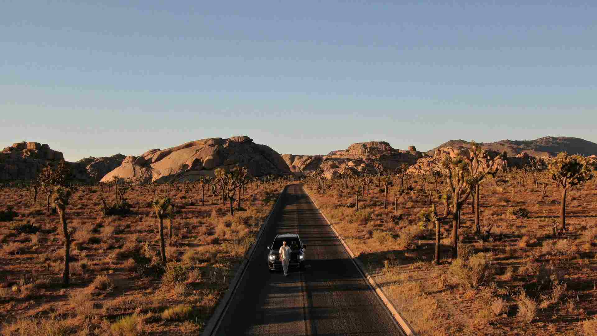 One-Day Outdoor Adventure in Joshua Tree