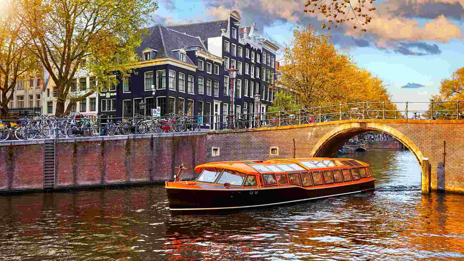 Don’t Forget to Bring Your IDP to Europe