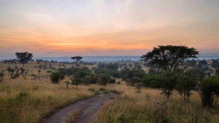 How Gorilla Permits Work in 2026