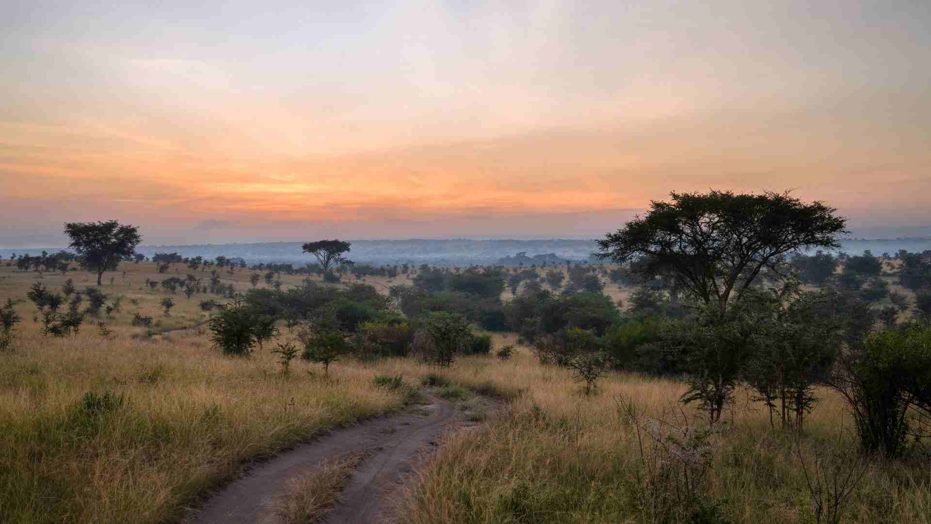 How Gorilla Permits Work in 2026