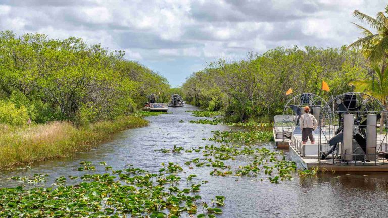 Guided River Tours and Fishing Charters