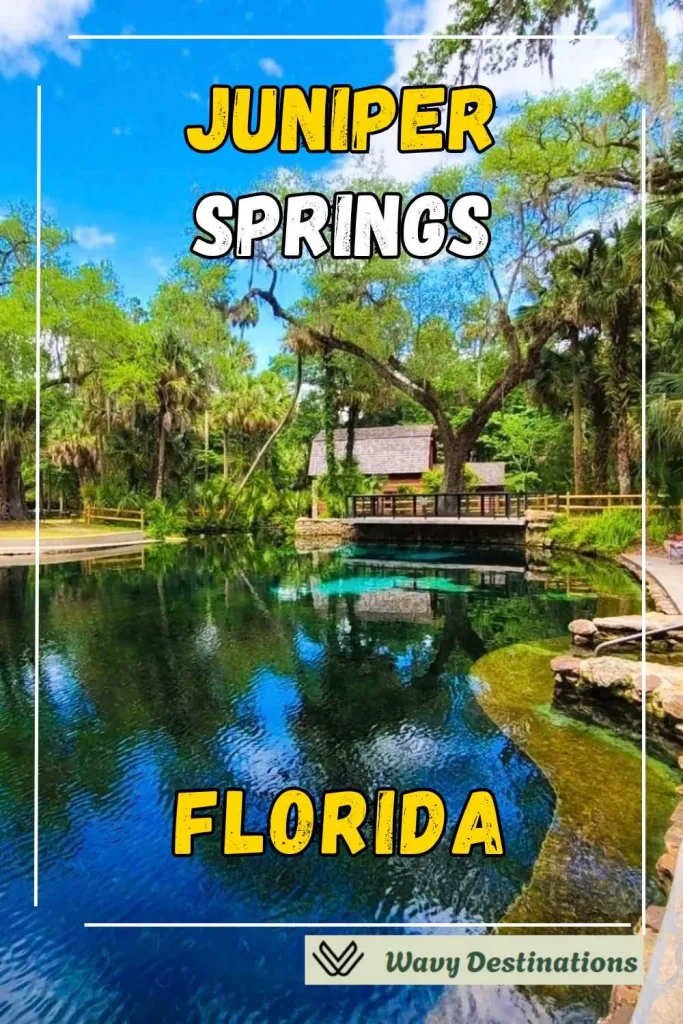 Juniper Springs