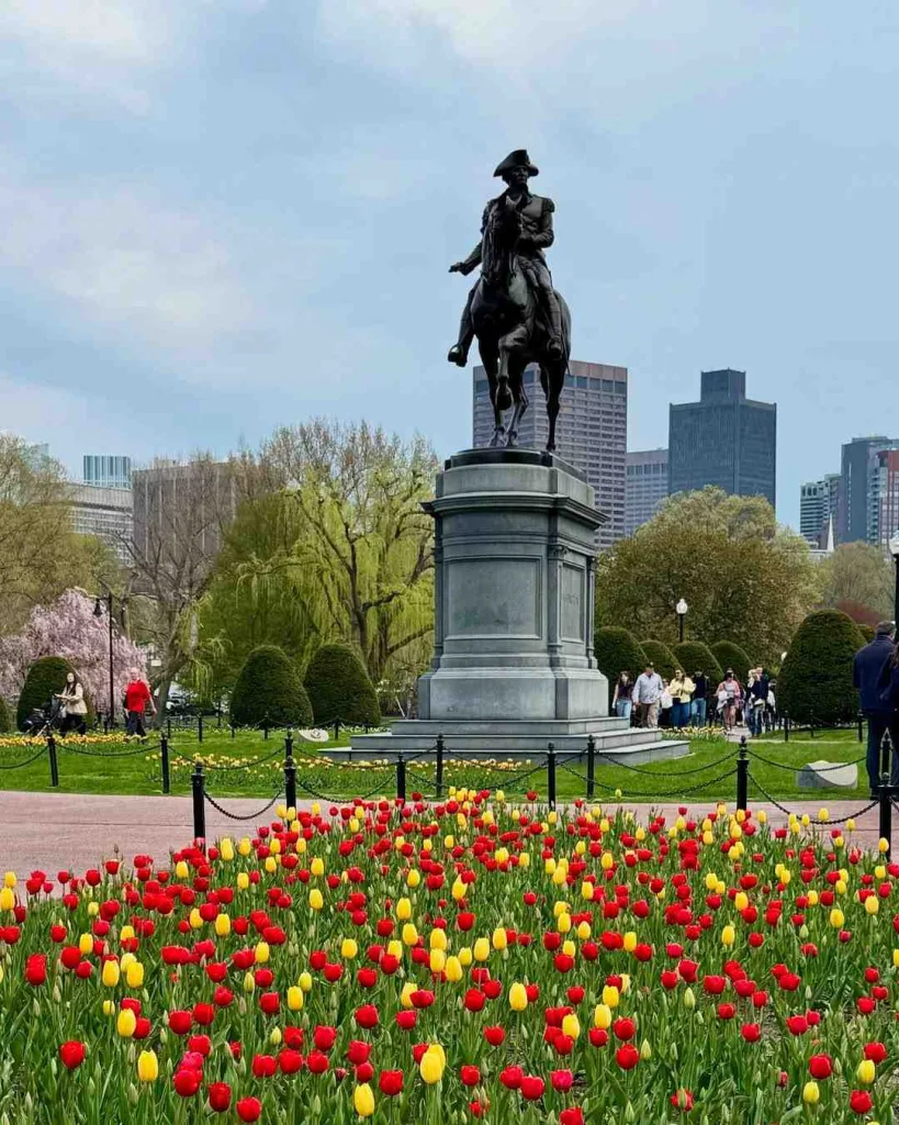 15 Unforgettable Things to Do in Boston for First-Time Visitors 4 Boston Public Garden