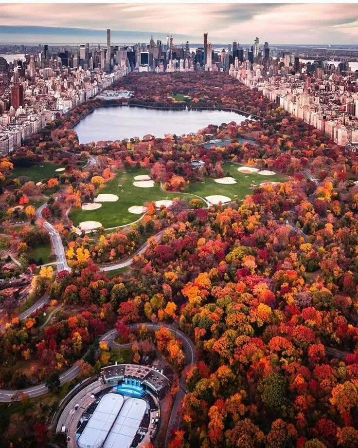 15 Things to Do in New York - Explore NYC Like Never Before 1 Central Park New york