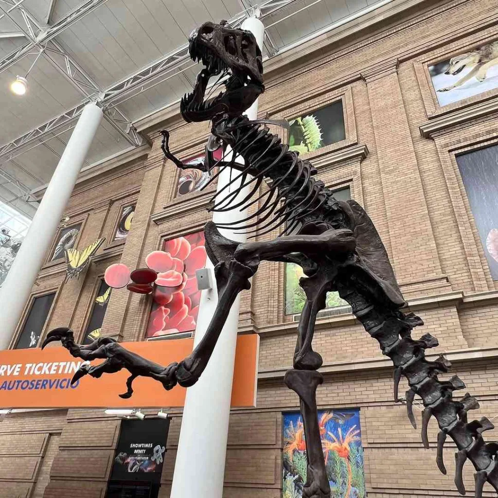 15 Breathtaking Things to Do in Denver That Make It Worth the Trip 12 Denver Museum of Nature & Science