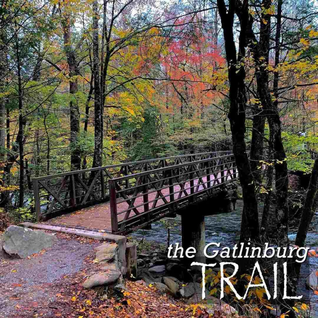 15 Unmissable Things to Do in Gatlinburg for an Unforgettable Trip 11 Gatlinburg Trail