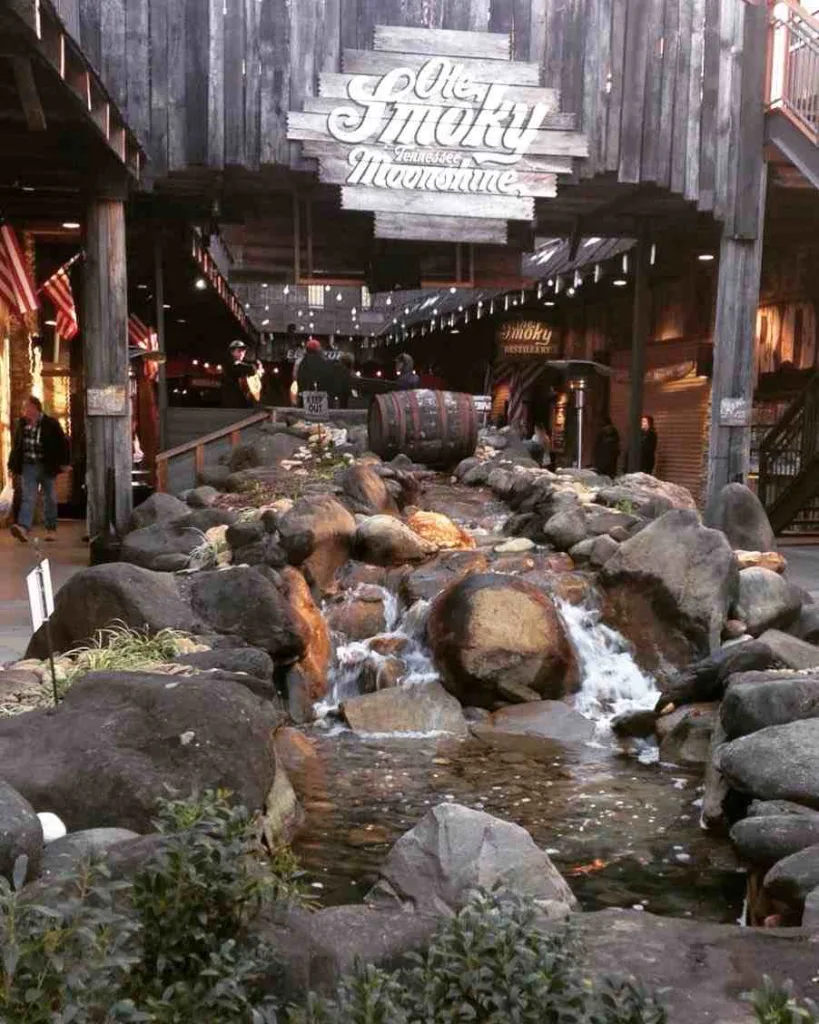 15 Unmissable Things to Do in Gatlinburg for an Unforgettable Trip 7 Moonshine at a Local Distillery