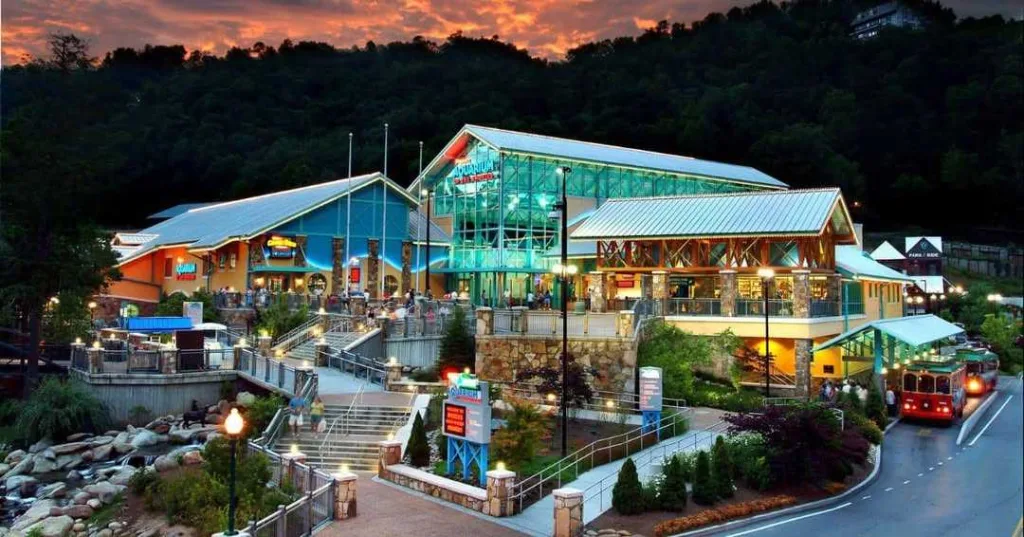 15 Unmissable Things to Do in Gatlinburg for an Unforgettable Trip 3 Ripley’s Aquarium of the Smokies