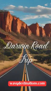 DARWIN ROAD TRIP