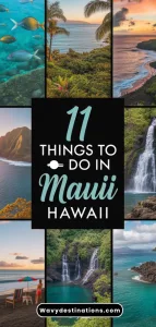 Things to Do in Maui Hawaii