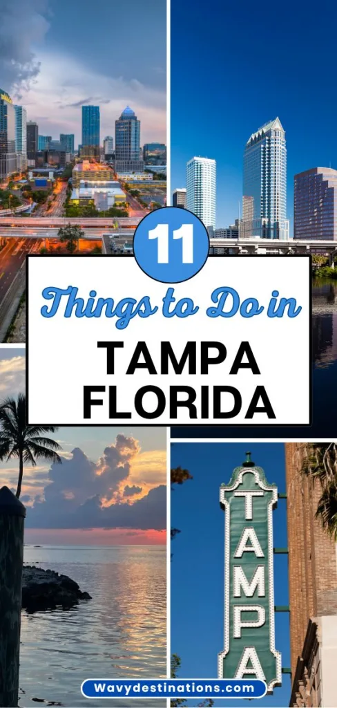Things to Do in Tampa Florida