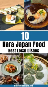 Nara Japan Food