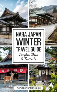 Nara Japan Winter