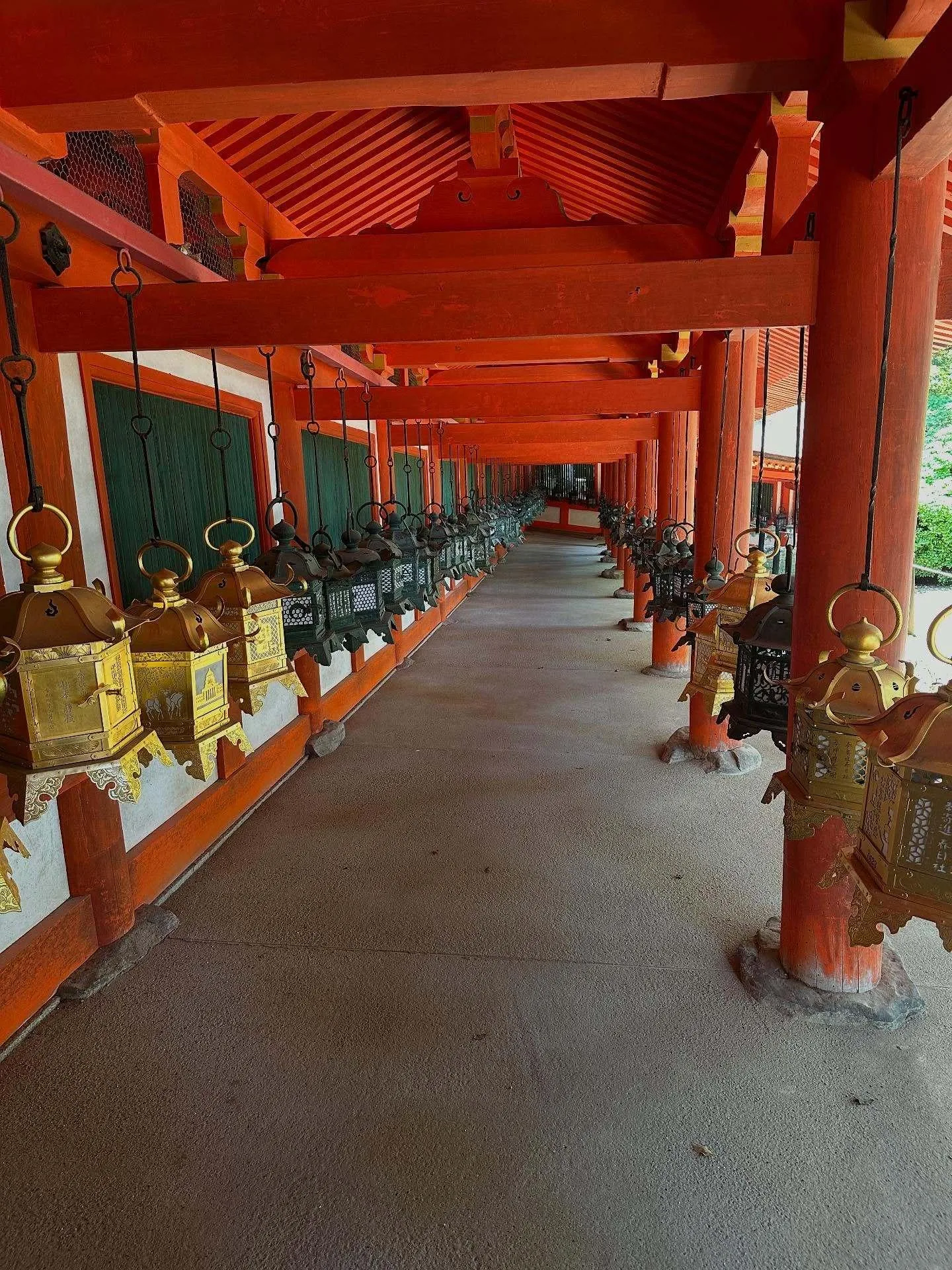 Lantern Glow at Kasuga Taisha