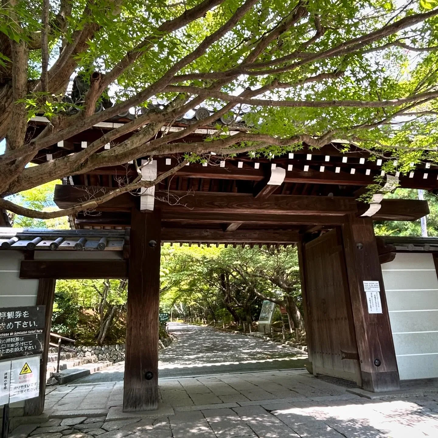 Ryoan-ji: The Mystery of the Rock Garden