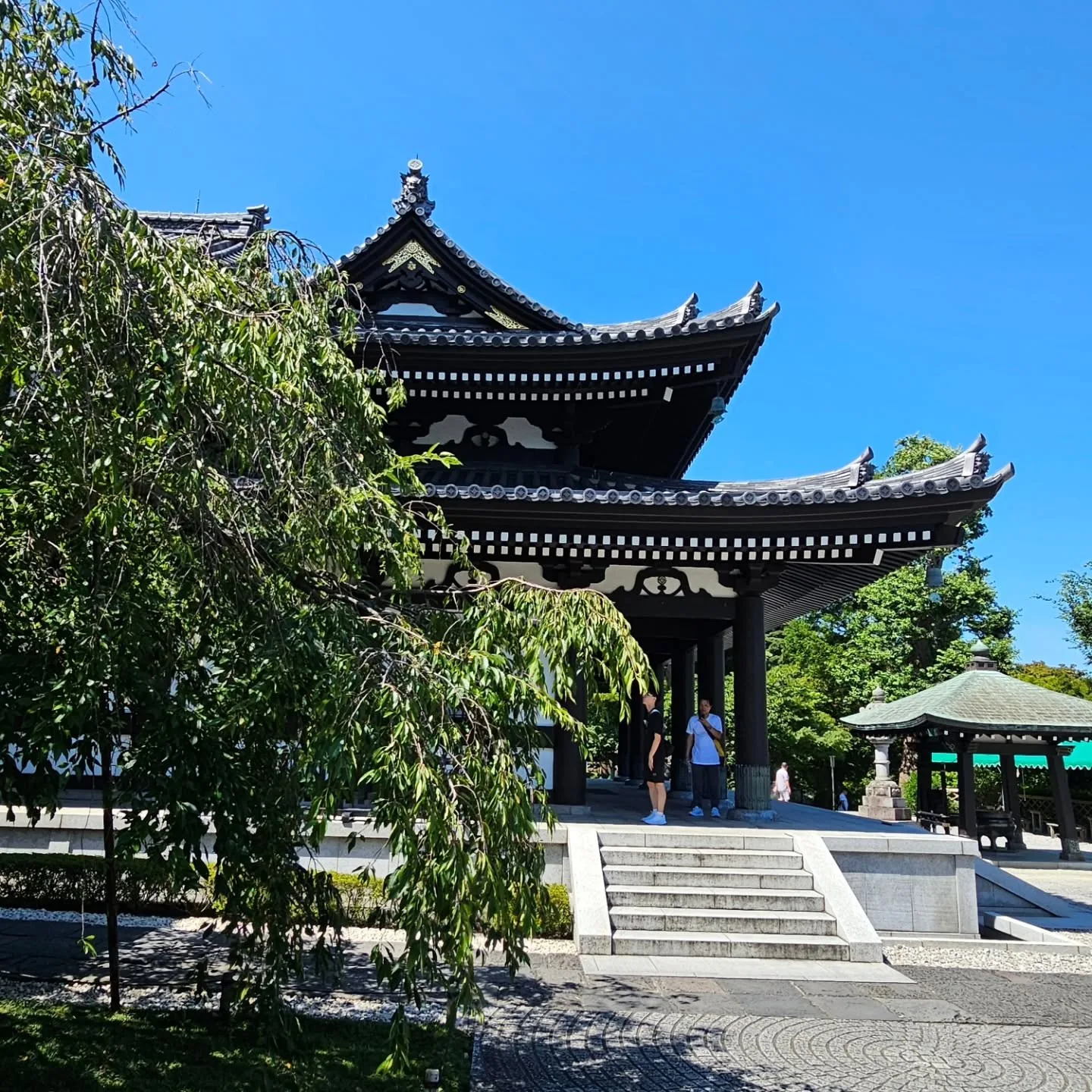 Hasedera: Kamakura’s Temple of Compassion