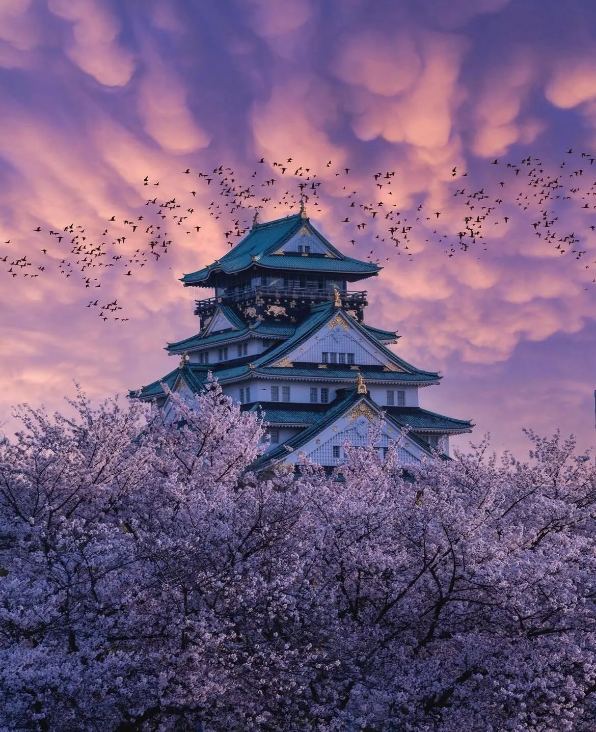 Seasonal Osaka Wallpapers