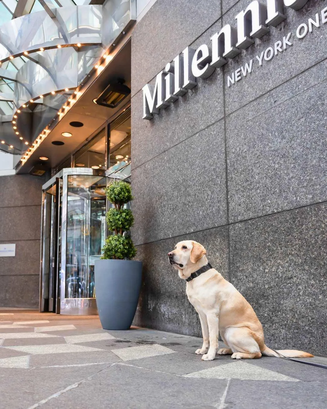 Millennium Hilton New York One UN Plaza