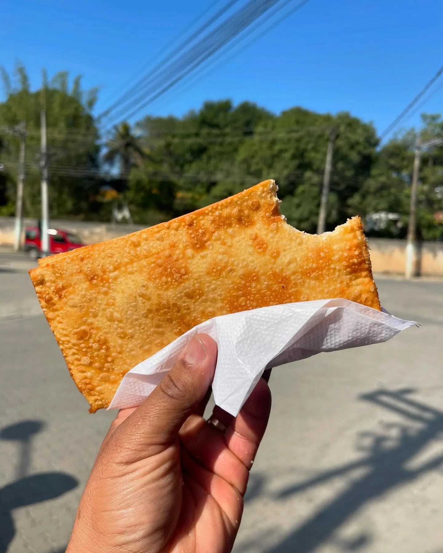 Pastel de Feira