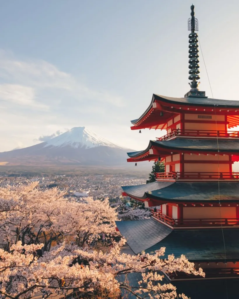 Solo Travel Tips for Japan