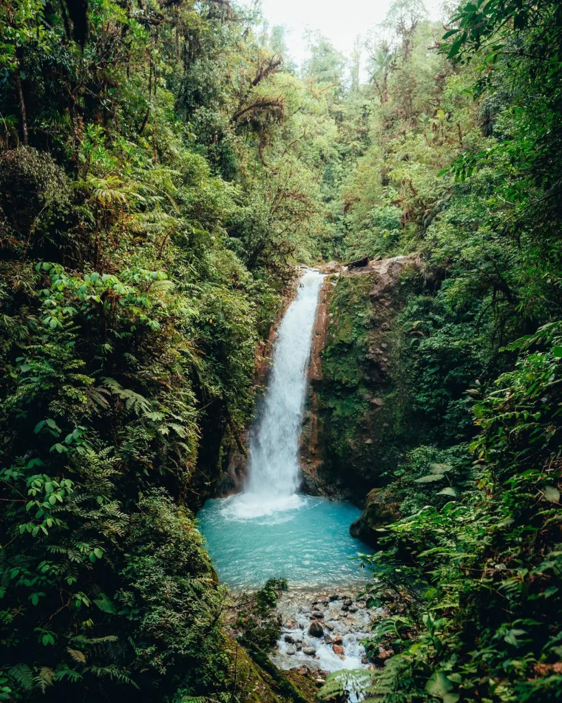 Costa Rica: The Jungle Escape
