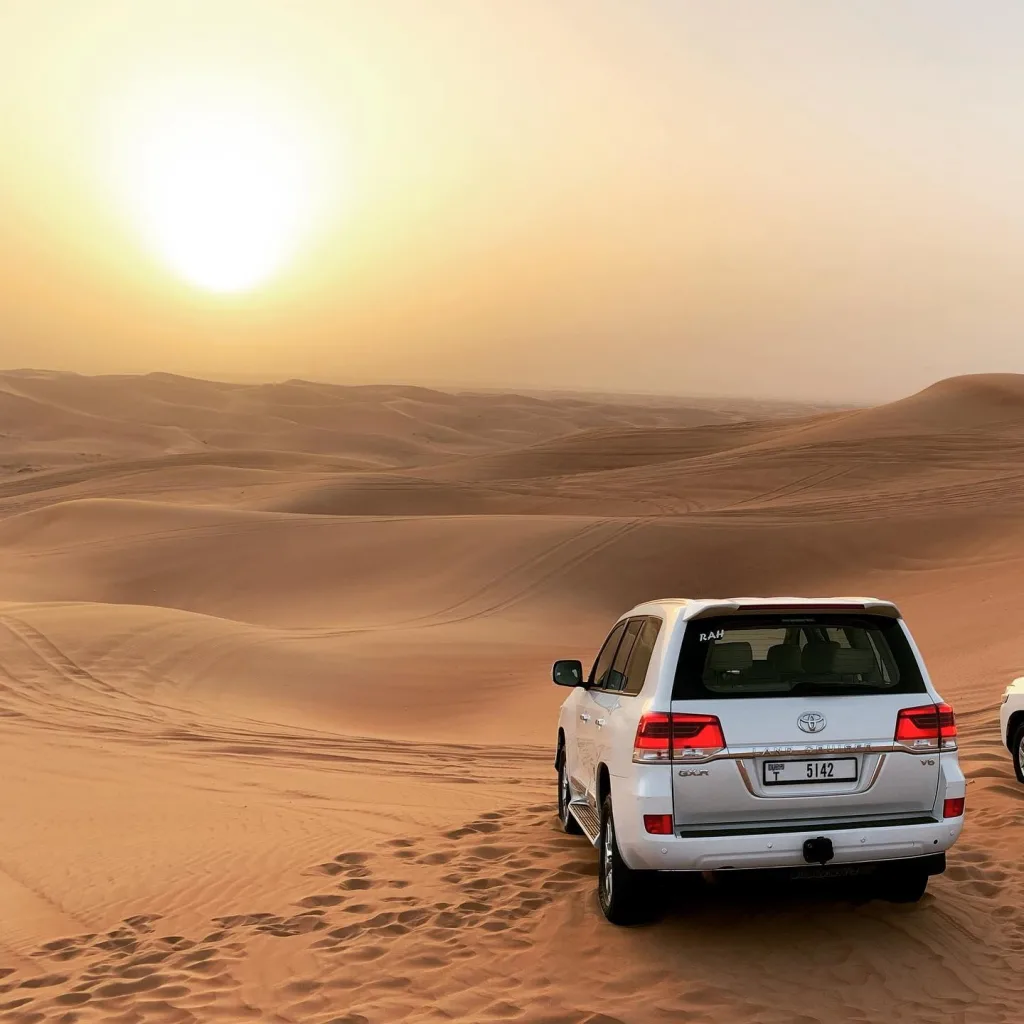 Experience the Desert at Dawn