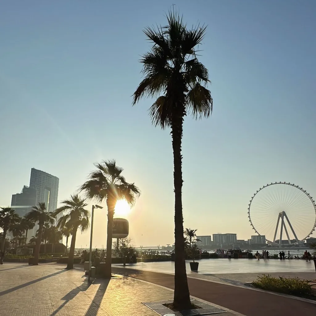 Take an Early Morning Walk