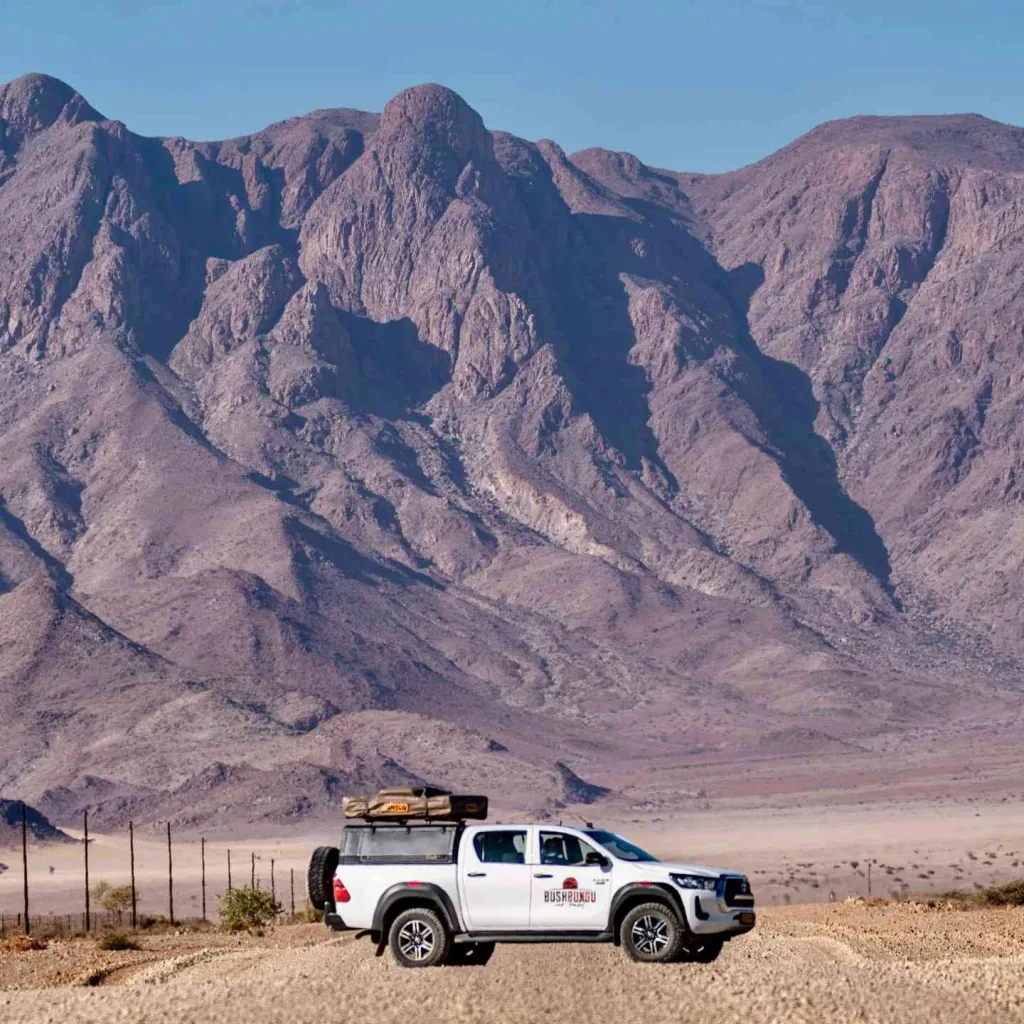 Camping Packing List: 10 Items Every Camper Should Bring 7 Vehicle Prep + Road-Ready Checklist