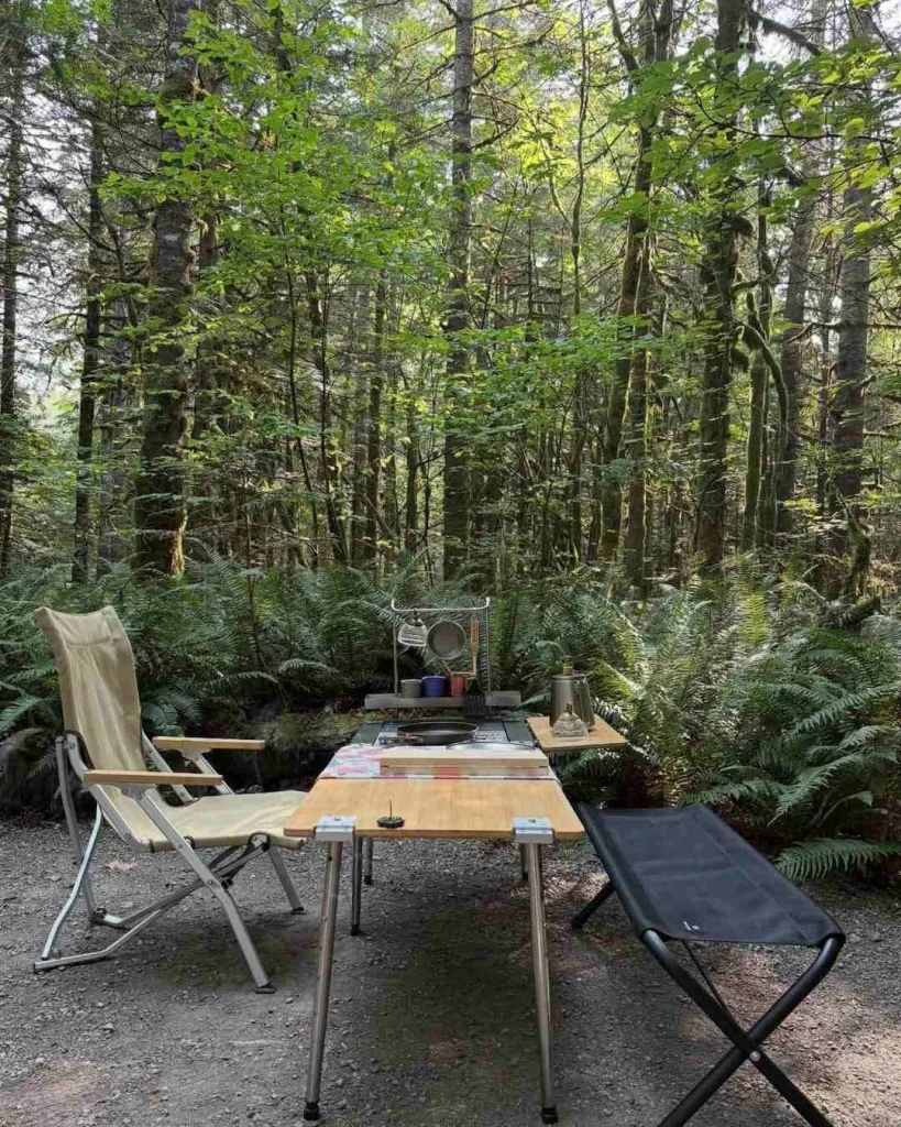 Camping Packing List: 10 Items Every Camper Should Bring 8 Leave No Trace Essentials