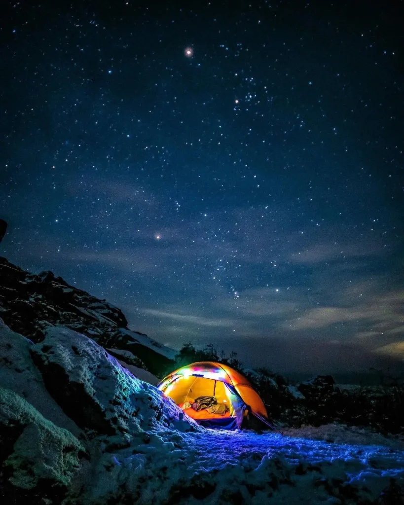 Stargazing + Astrology Night