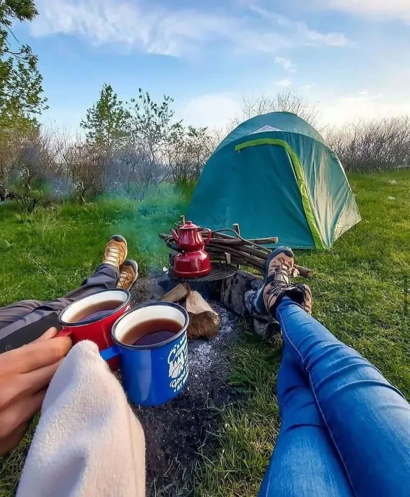 Meadow or Wildflower Fields