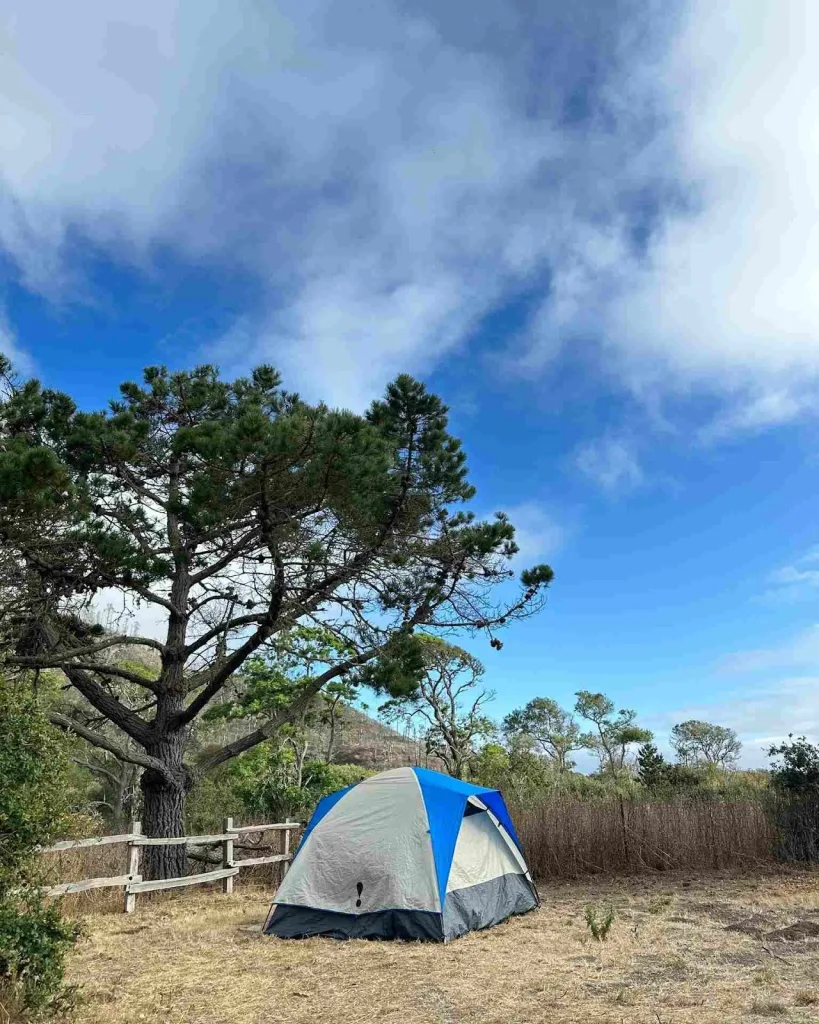 Established Campgrounds