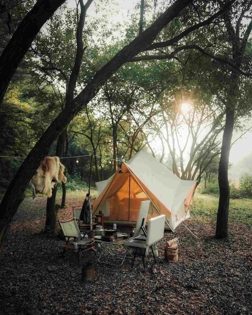 Tree Cover (But Safe Ones)