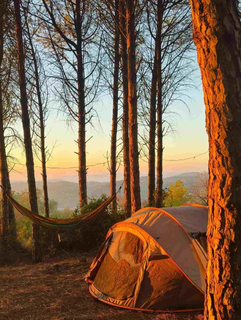 Lighting Is Everything