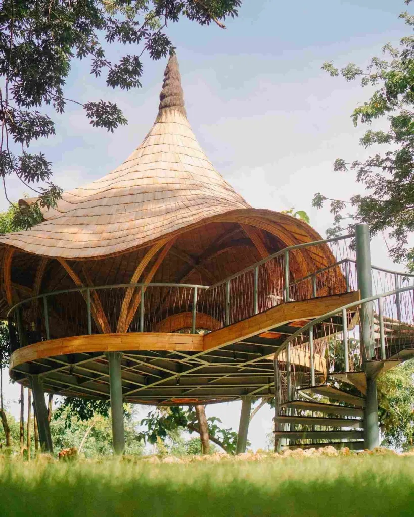 The Future of Camping Houses