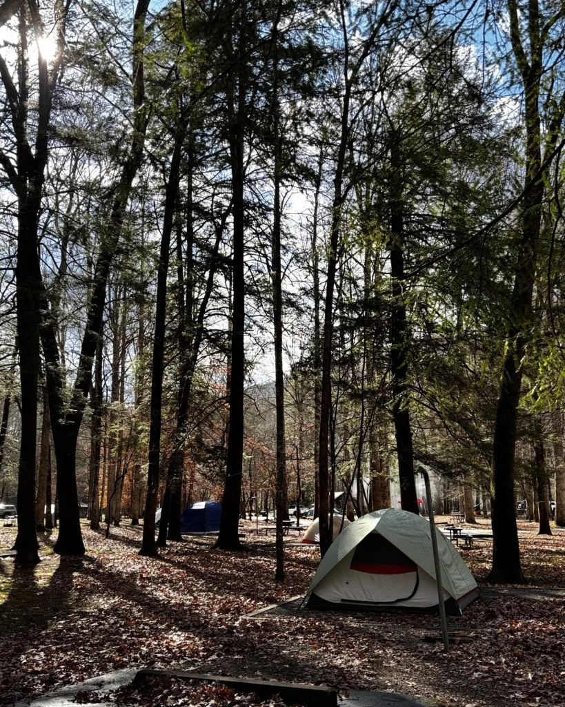 Camping Trip: Your Ultimate Guide to the Perfect Outdoor Escape 3 Front-Country Camping