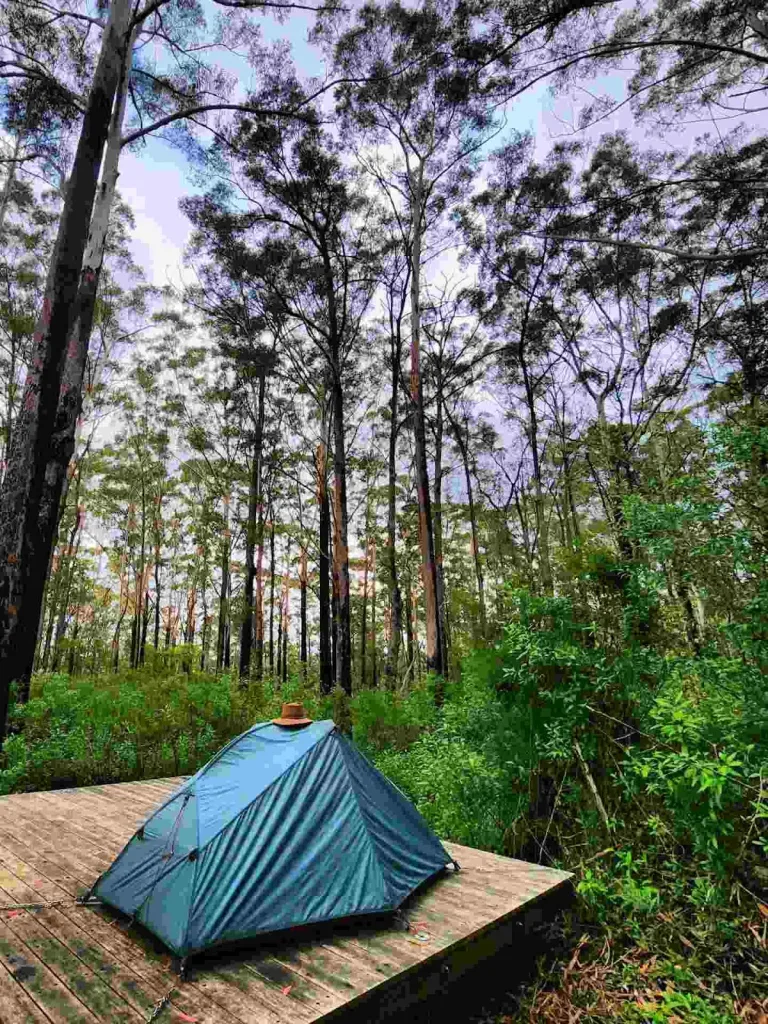Paluma Range National Park, QLD