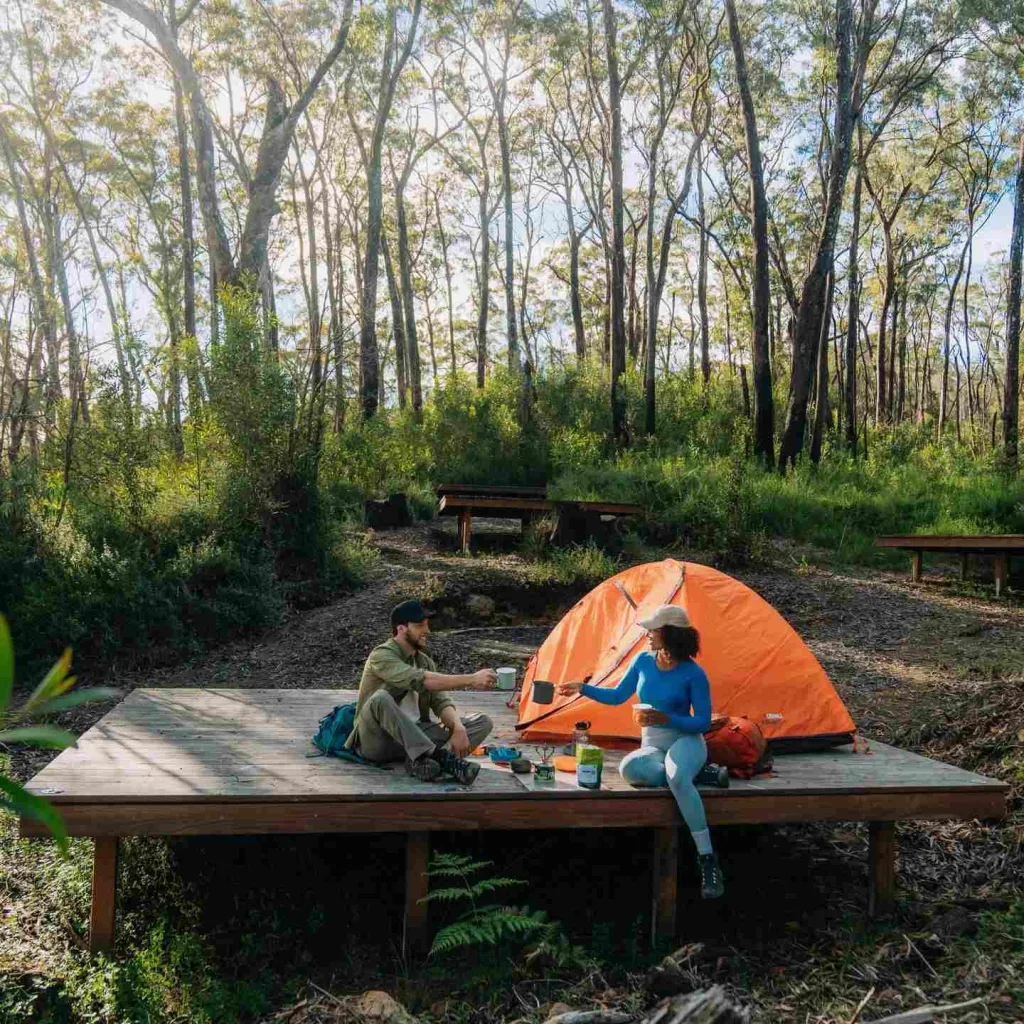 Border Ranges National Park, NSW