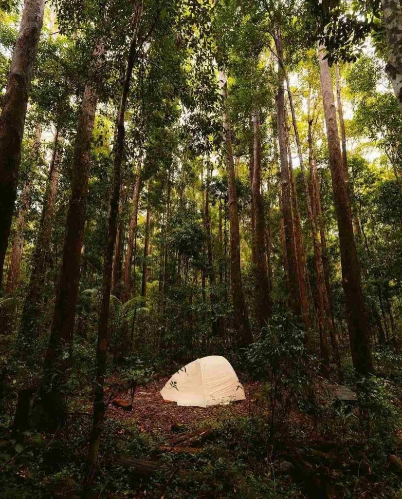 K’gari (Fraser Island), QLD