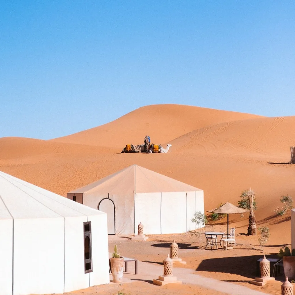 Pro Tips for an Unforgettable Desert Camping Experience