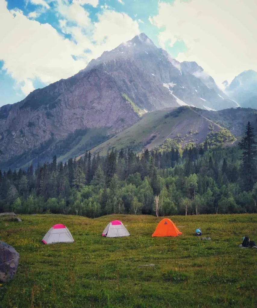 Flower-Filled Meadows