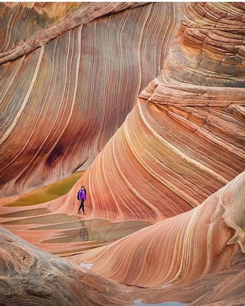 The Wave, Arizona
