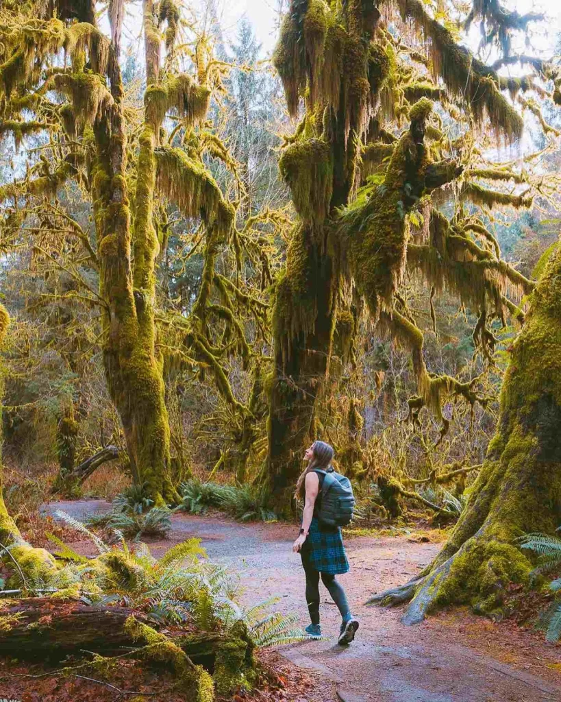 Hoh Rain Forest, Washington