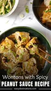 Wontons with Spicy Peanut Sauce Recipe