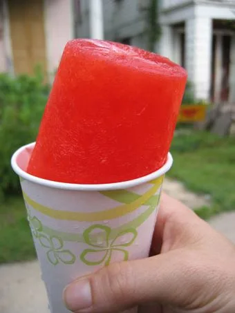 Lilly Dilly Freeze Cups Recipe