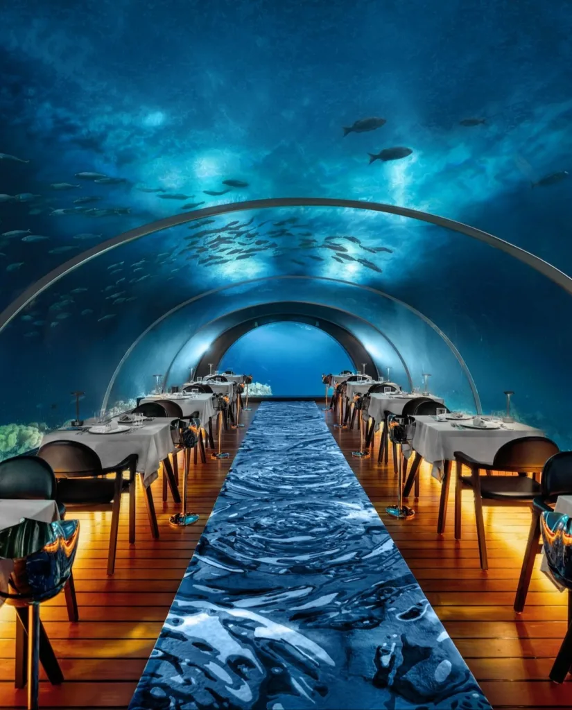 10 Best Restaurants You Need to Try Before You Die 8 The Underwater Restaurant That Wows You Before You Even Sit Down